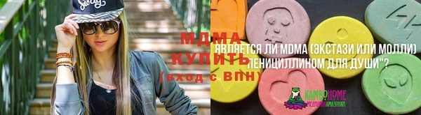 тгк Арсеньев