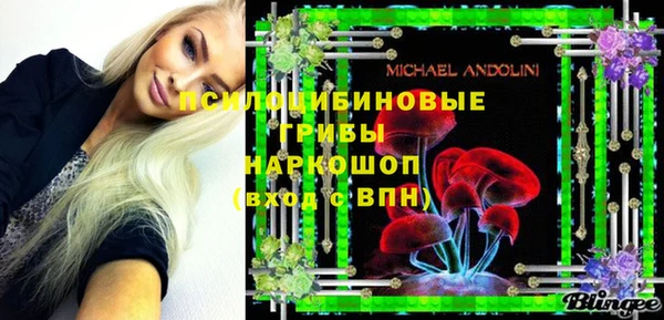 PSILOCYBIN Армянск