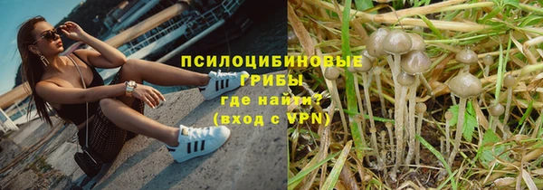 тгк Арсеньев