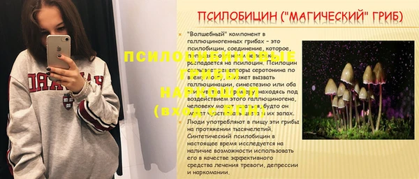 PSILOCYBIN Армянск