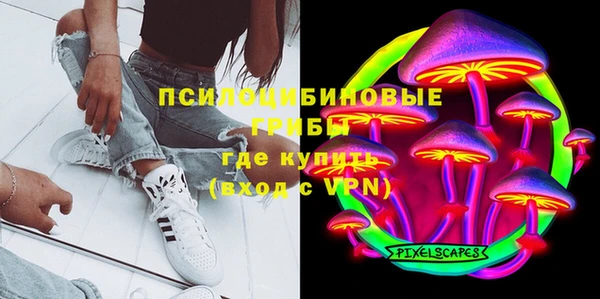 PSILOCYBIN Армянск