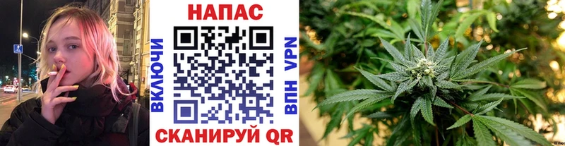 Конопля план  Купить  Когалым 